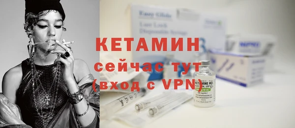 спиды Ельня